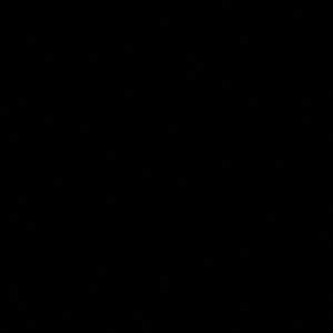 Meet your Posher, Ansley